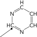 Which of the following is the precursor of the indicated carbon atom in a pyrimidine ring?   A)  aspartate B)  glycine C)  carbamoyl phosphate D)  orotate