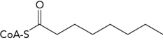  Start with the following molecule. (A) Write the balanced equation for the products formed from its complete oxidation in the  \beta -oxidation pathway and (B) show how many ATPs would be obtained from the complete metabolism of those products.    