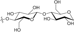 The image below shows a(n)  glycosidic bond.   A)    \alpha -1,4-  B)    \beta -1,4-  C)    \alpha -1,6-  D)    \beta -1,6-  