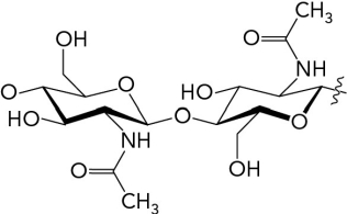  The image below shows a(n)  glycosidic bond.   A)    \alpha -1,4-  B)    \beta -1,4-  C)    \alpha -1,6-  D)    \beta -1,6-  
