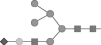 The glycan fragment shown below on the right has been cleaved by glycosylase enzymes, and HPLC analysis has produced the peaks 1 to 6. Which of the following fragments corresponds to peak 6?     A)    B)    C)    D)   