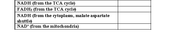 For each molecule below, list the number of ATP obtained assuming that the electron transport chain and oxidative phosphorylation are active.  