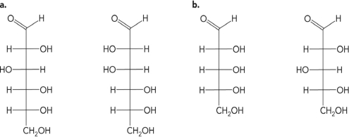 What is the relationship between the molecules in the figure below?   A)  They are isomers. B)  They are anomers. C)  They are epimers. D)  They are identical.