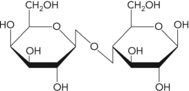  Name the following disaccharide using descriptive nomenclature.   A)  Glc( \alpha 1 \rightarrow\beta 2) Fru B)  Glc( \alpha 1 \rightarrow\alpha 2) Glc C)  Gal( \beta 1 \rightarrow 4) Glc D)  Glc( \alpha 1 \rightarrow\alpha 4) Glc 