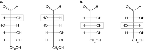 Given figures A and B below, label the chiral center on each and state if the molecule is a D or L enantiomer.   