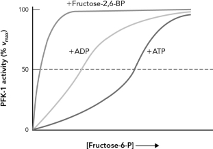 Using the figure below, discuss how ATP, ADP, AMP, and fructose-2,6-BP are an allosteric regulator of phosphofructokinase-1.   