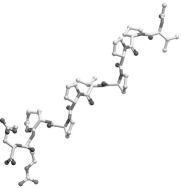 Below is shown a short sequence of a protein. Which of the following domains would most likely bind this sequence?   A)  SH2 B)  SH3 C)  SH2a D)  SHP