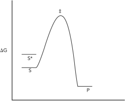 Consider the reaction coordinate diagram shown below for the conversion of substrate (S) to product (P). Assume that a hypothetical enzyme is added that destabilizes the substrate (S) so that it has the free energy of S*, but otherwise the reaction is the same (in other words, it still goes through the transition state indicated in the diagram). Justify why the hypothetical enzyme is a catalyst.   