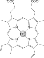 Which of the following is true of this compound?   A)  It contains a ferric ion. B)  It is a prosthetic group. C)  It is found on the surface of both hemoglobin and myoglobin. D)  It is coordinated to hemoglobin through interactions with a proximal cysteine.