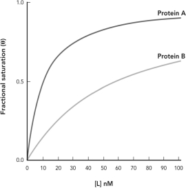 Which of the following statements is true of the data shown below?   A)  The binding of ligand to protein B follows the Bohr effect. B)  Both proteins display cooperative binding. C)  Protein A has a higher K<sub>d</sub> for the ligand than protein B. D)  Protein B and protein A bind to the same ligand.