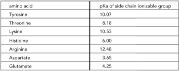 Decide if the rate of malate transport by the Omp32 protein of Delftia acidovorans will be affected if the pH of the system is changed from 6.8 to 8.2. Explain your reasoning. The pKa of amino acids with ionizable side chains are provided in the table below. Note that malic acid contains two ionizable groups with pKa of 3.40 and 5.20. Assume in this scenario that the pH change does not alter the overall conformation of the protein.   