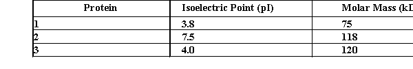 Explain how to separate the following proteins using two different types of chromatography.  