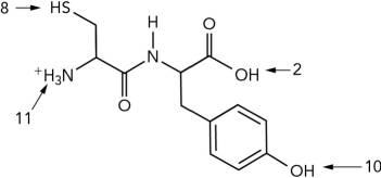 What is the pI of the dipeptide shown? (Use the pK as given.)    A)  0 B)  5 C)  9 D)  10.5