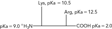 Calculate the pI for the following dipeptide using the pKas shown.   