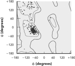 Use the theoretical Ramachandran plot at the top to evaluate the two experimental plots on the bottom. Describe the likely secondary structures found in each experimental plot.       