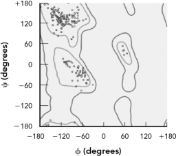 Use the theoretical Ramachandran plot at the top to evaluate the two experimental plots on the bottom. Describe the likely secondary structures found in each experimental plot.       