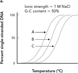DNA strands containing 20 base pairs, 40 base pairs, and 60 base pairs were denatured and the results were graphed below. Identify the curve from the 60 base pair DNA strand.   A)  A B)  B C)  C D)  Not enough information is included to determine the curve.