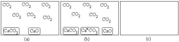  For the equilibrium CaCO<sub>3</sub>(s)  f  CaO(s)+ CO<sub>2</sub>(g), (a)represents the composition at equilibrium at a certain temperature.In (b),a small amount of Ca<sup>*</sup>CO<sub>3</sub>(s) has been added (Ca<sup>*</sup>CO<sub>3</sub>(s)represents Ca<sup>14</sup>CO<sub>3</sub>(s)or labeled calcium carbonate).Draw the composition in (c) at equilibrium and explain your drawing.   
