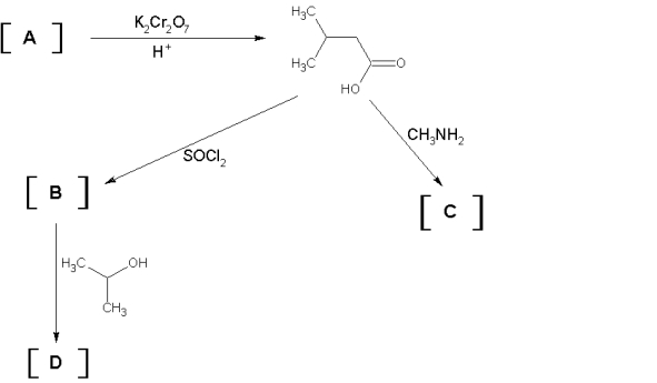 Fill in the missing reactants and products,A,B,C,D.  