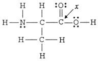 The hybridization of the carbon atom labeled x in the molecule below is ________.   A) sp B) sp<sup>2</sup> C) sp<sup>3</sup> D) sp<sup>3</sup>d E) sp<sup>3</sup>d<sup>2</sup>