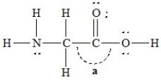 The bond angle marked a in the following molecule is about ________.   A) 109.5 B) 60 C) 180 D) 120 E) 90