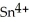In the electrochemical cell using the redox reaction below,the oxidation half reaction is ________.   (aq) + Fe (s) →   (aq) +   (aq)  A) Sn<sup>4+</sup> + 2e<sup>-</sup> → Sn<sup>2+</sup> B) Fe → Fe<sup>2+</sup> + 2e<sup>-</sup> C) Sn<sup>4+</sup> → Sn<sup>2+</sup> + 2e<sup>-</sup> D) Fe + 2e<sup>-</sup> → Fe<sup>2+</sup> E) Fe +   →  