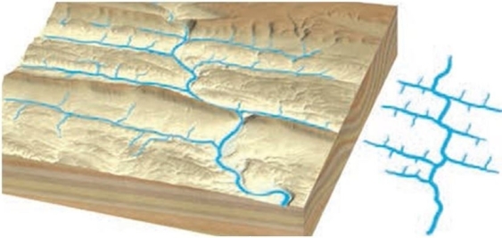 The trellis drainage pattern shown below develops ______.   A)  on isolated volcanic cones or domes B)  in areas of relatively uniform surface materials C)  on highly jointed bedrock D)  in areas of alternating weak and resistant bedrock E)  in areas of folded and fractured domes 