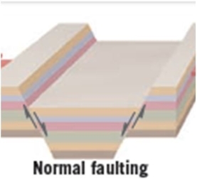 Consider the below diagram of normal faulting.   Which of the following statements is most likely to be true, based on the diagram? A)  There would likely be a lot of strike- slip faults in this area. B)  The land is most likely at a convergent plate boundary. C)  It is the product of extensional forces. D)  The fault is labeled as normal because almost all stresses on Earth produce this type of fault. 