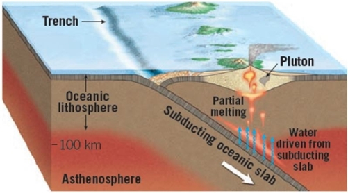 The below diagram is an example of what plate tectonic setting?   A)  collisional mountain chain B)  passive margin C)  Andean margin D)  island- arc 