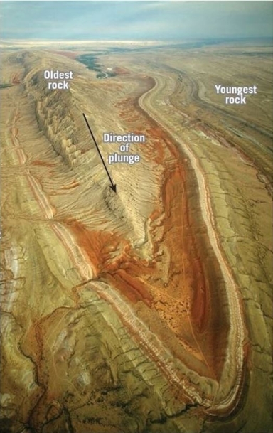 What type of structure is shown below?   A)  monocline B)  transform C)  syncline D)  anticline 