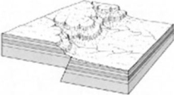 Carefully study the illustration below to determine the types. of geologic structures. it shows.   A)  monocline B)  anticline C)  reverse fault D)  normal fault 