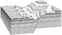 Carefully study the illustration below to determine the types. of geologic structures. it shows.   A)  normal fault B)  anticline C)  monocline D)  reverse fault 
