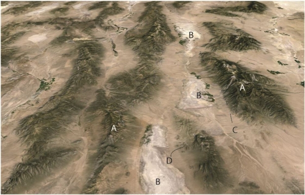 Use this figure for the following questions:    The figure above is an oblique Google earth image from southwestern North America looking approximately north. The view approximately 50km across. The area is a classic area of normal faulting. -Topographic basins like the areas labeled B in this figure are called ______. A)  joint B)  horst C)  graben D)  fracture 
