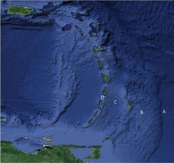 Use this figure for the following questions:    The figure above shows a popular area for North American tourists in winter, the Caribbean region. Match the term to the lett the Figure. -Island arc A)  A B)  B C)  C D)  D 