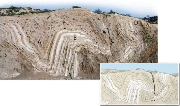 In the figure below, which occurred first, the folding or the faulting? Briefly explain your answer.   