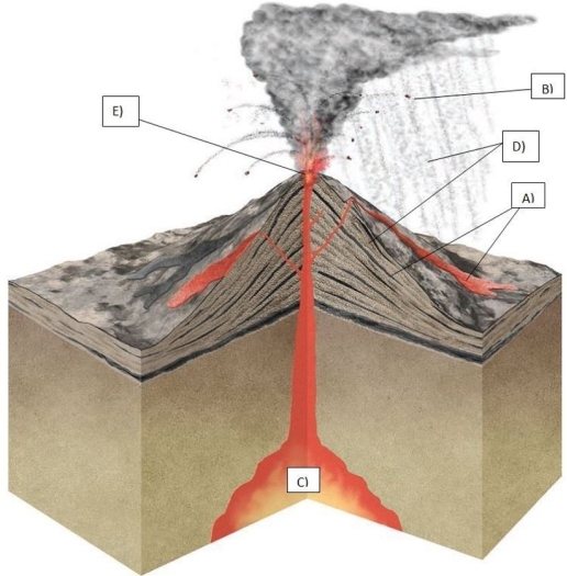 Match the letter on the figure with the term.    -Identify what letter C represents in the diagram. A)  bomb B)  lava flow C)  magma chamber D)  vent E)  pyroclastic material 