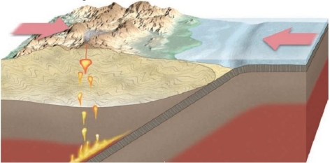 See the image below of a subduction zone.   What is the most likely area where you will see major earthquakes? A)  in the ocean B)  where the magma is beginning to rise C)  in the mountain belt D)  Nowhere. Subduction zones do <u>not</u> have earthquakes 