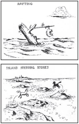 Observe the cartoons below. How do they relate to continental drift and plate tectonics?   A)  It lends credence to continental drift as it indicates movement of continents. B)  It is the main basis for the objections to Wegener's theories. C)  It could be used to argue against continental motion as the animals find ways to migrate without the continents having moved. D)  They show the theory of plate tectonics because they indicate convergence. 