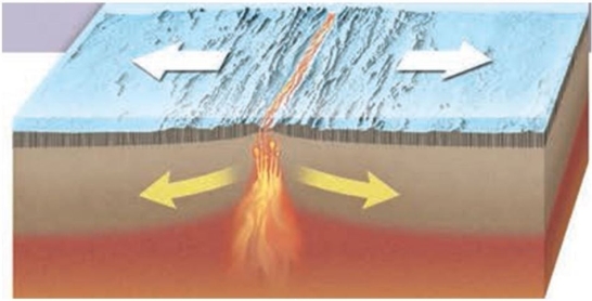 The figure below shows a_______ boundary.   A)  transform B)  divergent C)  convergent D)  hot spot 