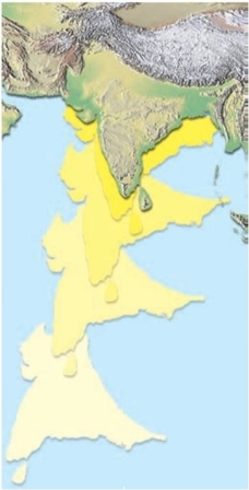 The below diagram shows the Indian subcontinent as it collided with Asia:   This is an example of the formation of a _______. A)  collisional mountain chain B)  volcanic island arc C)  continental volcanic arc D)  transform fault 