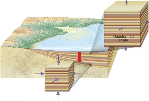 What type of stress pressure. is illustrated in the diagram below?   A)  contact B)  differential C)  regional D)  confining 