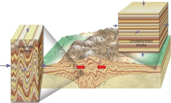 What type of stress pressure. is illustrated in the diagram below?    A)  regional B)  confining C)  contact D)  differential 
