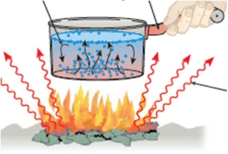 Consider the below image:   Which one of the below is like conduction? A)  the flame itself as conduction is a heat source B)  the waves because conduction is heat energy traveling in a wave form C)  the tumbling water because conduction is heat transfer by way of molecules moving D)  the hand on the metal handle because conduction is heat transfer between molecules within a substance 