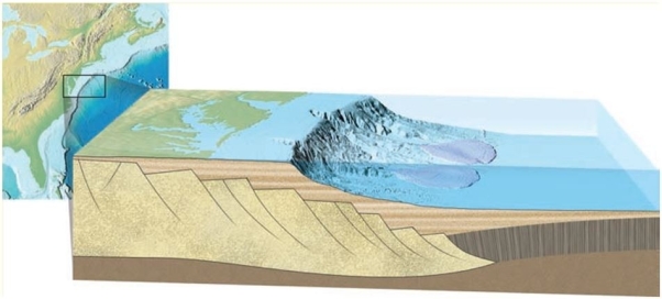 Consider the diagram below.   What type of margin is this? A)  Passive, because the deep sea fans indicate tectonic activity. B)  Passive, because the lack of trenches and subducting oceanic crust indicate tectonic activity. C)  Active, because the deep sea fans indicate tectonic activity. D)  Active, because the lack of trenches and subducting oceanic crust indicate tectonic activity. 