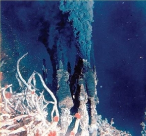 Identify what is pictured here:   A)  rift valleys B)  hydrogenous flow structures C)  black smokers D)  guyots 