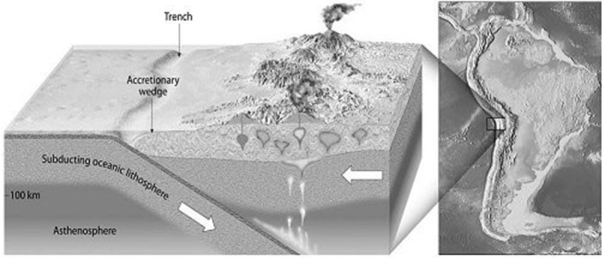 What type of continental margin is illustrated in the diagram below?   