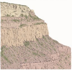 Consider the below diagram of sedimentary layers.   We know that the top layer is youngest. Which of the below is <u>not</u> one of the reasons we know this? A)  the principle of inclusions B)  the principle of superposition C)  the principle of original horizontality D)  the principle of lateral continuity 
