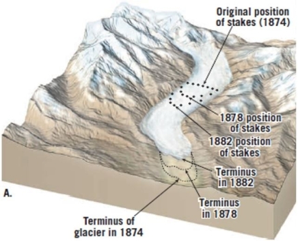   The above figure shows a classic case where Swiss geologists placed stakes into a glacier and measu outcomes a few years later. What did they conclude from the experiment? A)  The glacier's ice moved downslope the whole time. B)  The glacier grew larger between 1878 and 1886. C)  The glacier's terminus remained stationary throughout most of the time span. D)  The glacier flowed upward sometimes, and downward other times. 