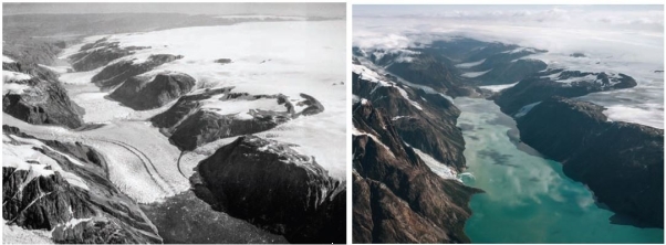 Note the two images below from the same location in Greenland in 1935 on the left. and 2013 on the right..   What can you conclude about how this landscape has changed during that time period? A)  Sea level dropped between 1935 and 2013. B)  The glacier retreated greatly between 1935 and 2013. C)  The landscape has <u>not</u> changed significantly. D)  The glacier was smaller in 1935. 