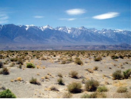 Which of the following statements is true of desert landscapes, like the one pictured?   A)  The fact that it does <u>not</u> receive much rainfall likely means that there is very little water- produced erosion here. B)  The vegetation in the photograph likely has adaptations to help it survive long periods without rainfall. C)  Deserts are always sandy, so this photograph is a typical desert. D)  There is no life visible. 